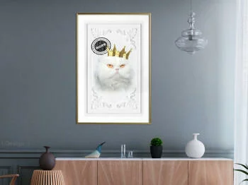 Plakat - Kot rządzi II