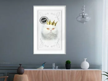 Plakat - Kot rządzi II