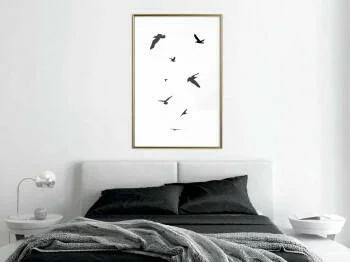 Plakat - Ptaki