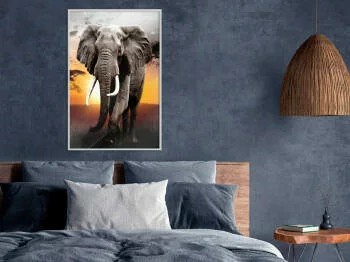 Plakat - Majestatyczny słoń