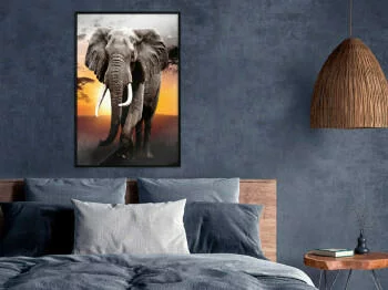 Plakat - Majestatyczny słoń
