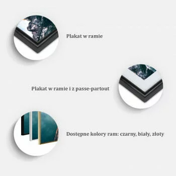 Plakat - Bajkowy tukan - obrazek 3