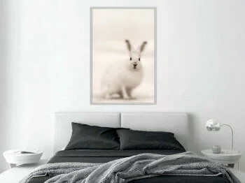 Plakat - Zaciekawiony królik