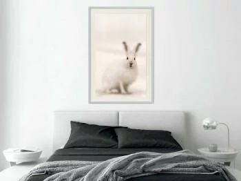Plakat - Zaciekawiony królik