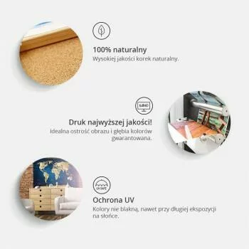 Obraz na korku - Tęczowa mapa  - obrazek 3