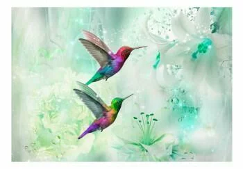 Fototapeta - Kolorowe kolibry (zielony) - obrazek 2