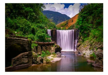 Fototapeta samoprzylepna - Reggae Falls - obrazek 2