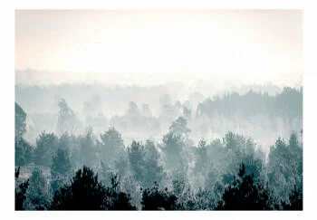 Fototapeta samoprzylepna - Zimowy las