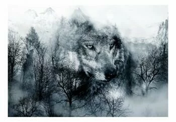 Fototapeta - Drapieżnik z gór wilk (czarno-biały) - obrazek 2