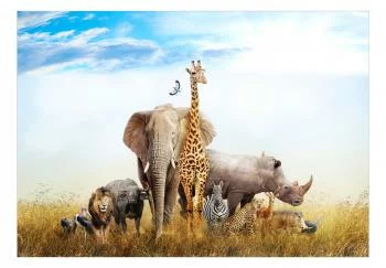 Fototapeta samoprzylepna - Fauna Afryki