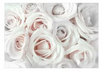 Fototapeta - Atłasowa róża (różowy)