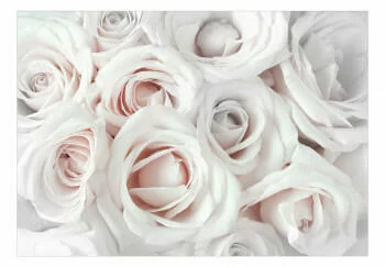 Fototapeta samoprzylepna - Atłasowa róża (różowy)