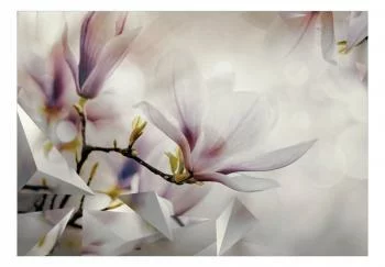 Fototapeta do salonu - magnolie - obrazek 2
