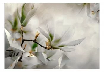 Fototapeta samoprzylepna - Subtelne magnolie - drugi wariant