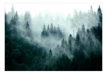 Fototapeta - Górski las (ciemny zielony)