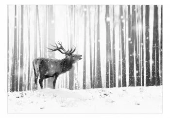 Fototapeta samoprzylepna - Jeleń na śniegu (czarno-biały) - obrazek 2