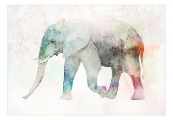 Fototapeta - Malowany słoń