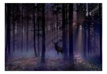 Fototapeta samoprzylepna - Mistyczny las - drugi wariant - obrazek 2