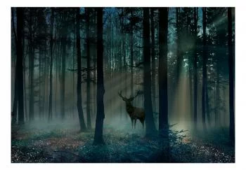 Fototapeta samoprzylepna - Mistyczny las - trzeci wariant