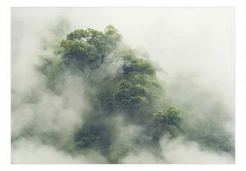 Fototapeta samoprzylepna - Mglista Amazonia - obrazek 2