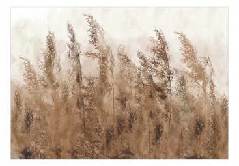 Fototapeta samoprzylepna - Wysokie trawy - brązowy - obrazek 2