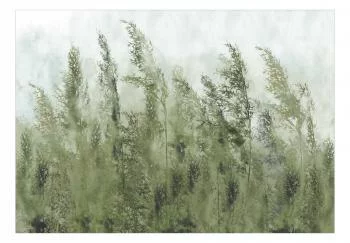 Fototapeta - Wysokie trawy - zielony