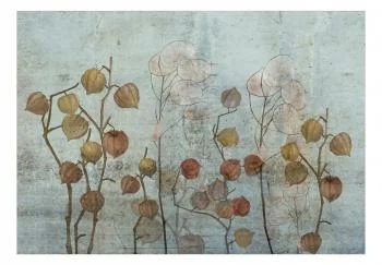 Fototapeta samoprzylepna do salonu - lunaria