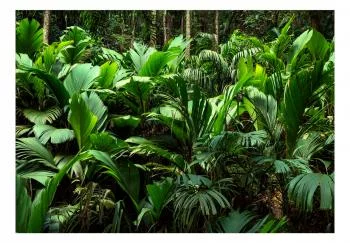 Fototapeta samoprzylepna - Świeżość dżungli - obrazek 2