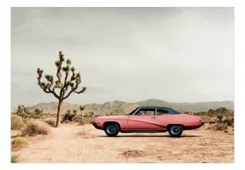 Fototapeta - Pustynna Kalifornia - obrazek 2