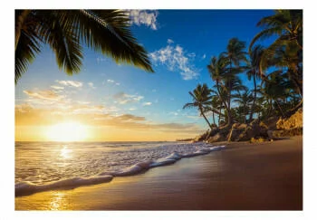 Fototapeta samoprzylepna - Tropikalna plaża - obrazek 2