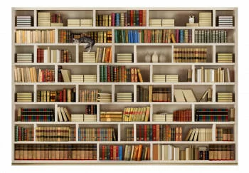 Fototapeta samoprzylepna - Domowa biblioteczka