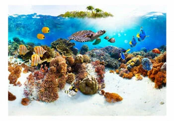 Fototapeta samoprzylepna - Rafa koralowa