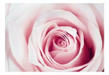 Fototapeta - Różany labirynt