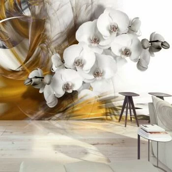 Fototapeta 3D - Białe Orchidee