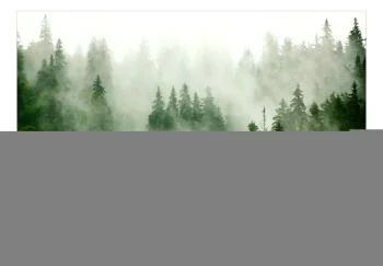 Fototapeta - Górski las (zielony) - obrazek 2