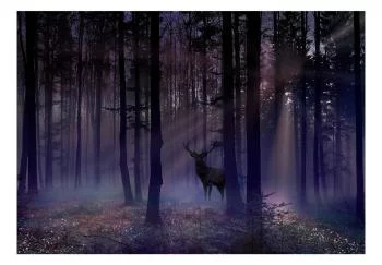 Fototapeta - Mistyczny las - drugi wariant - obrazek 2