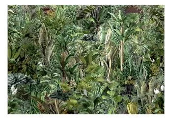 Fototapeta - Bogactwo dżungli - obrazek 2