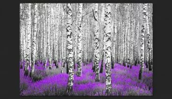 Fototapeta - Purpurowy azyl - obrazek 2