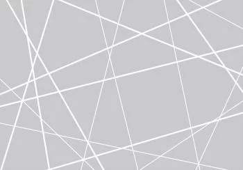 Fototapeta - Nowoczesna pajęczyna - obrazek 6