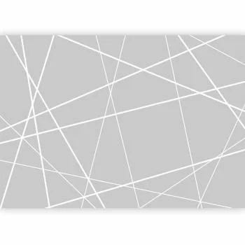 Fototapeta - Nowoczesna pajęczyna - obrazek 5