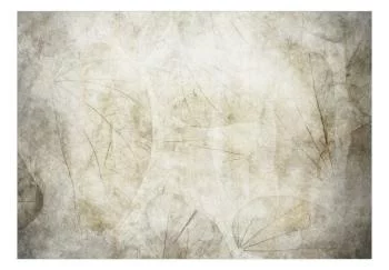 Fototapeta - Beżowe pomruki - obrazek 2