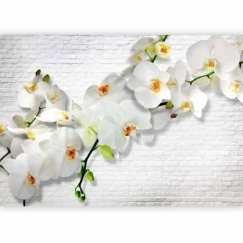 Fototapeta - Miejska orchidea - obrazek 5