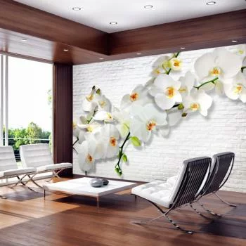 Fototapeta - Miejska orchidea - obrazek 2