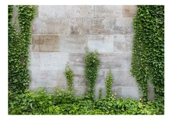 Fototapeta wodoodporna - Zapomniany ogród - obrazek 2