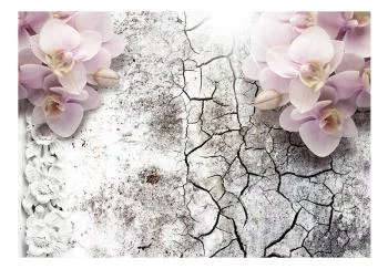 Fototapeta wodoodporna - Pąsowe orchidee - obrazek 2