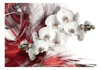 Fototapeta wodoodporna - Orchidea w czerwieni - obrazek 2