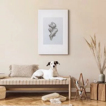 Obraz - Imbir (1-częściowy) pionowy - obrazek 5