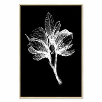 Obraz - Nocny kwiat (1-częściowy) pionowy - obrazek 2