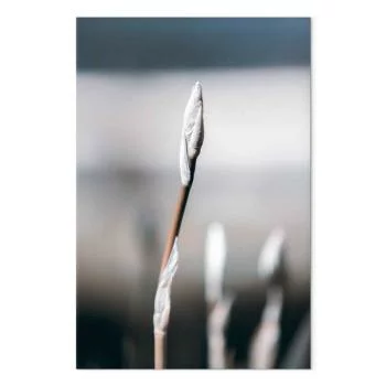 Obraz - Botaniczny minimalizm (1-częściowy) pionowy - obrazek 2