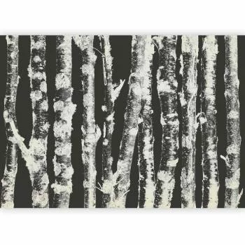 Fototapeta - Dostojne brzozy - drugi wariant - obrazek 5
